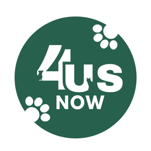 Why Your Pet Deserves Premium Care: The 4usnow Difference