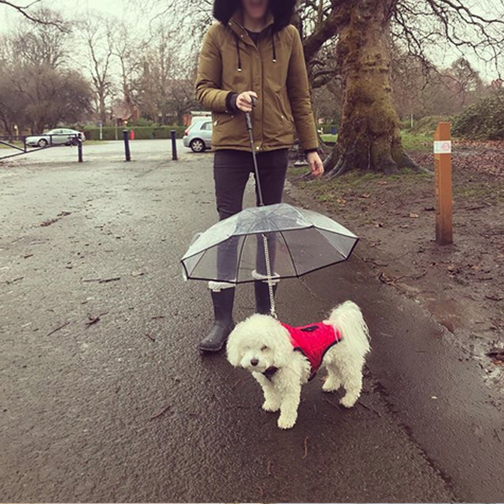 RainPaw Product information: Material: PE/stainless steel Product Category: Traction Belt Packing quantity: 50pcs Patent type: Appearance design patent Whether the source of patented goods: Yes Color: transparent, can be customized Whether IP authorizatio