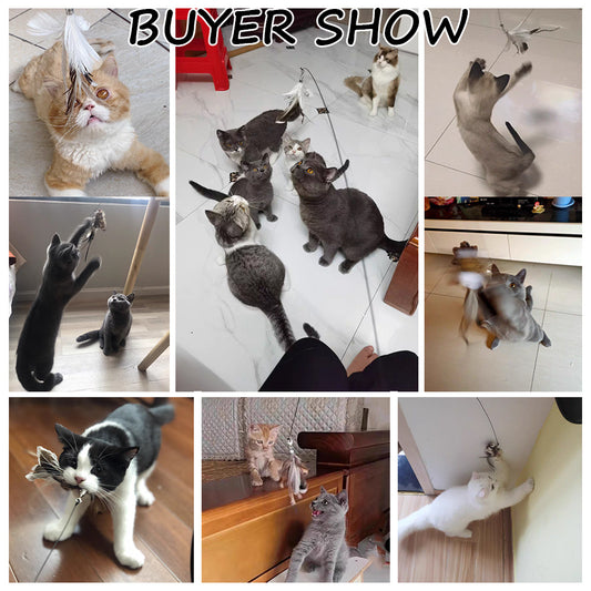 Interactive Cat Wand – Detachable Rod & Sucker Toy Product information: Material: feathers, hardware accessories, suction cups, PVC rods, steel wires Style: simple and stylish Features: funny cat Colour: Picture color Packing list: Funny cat stick*1 Produ