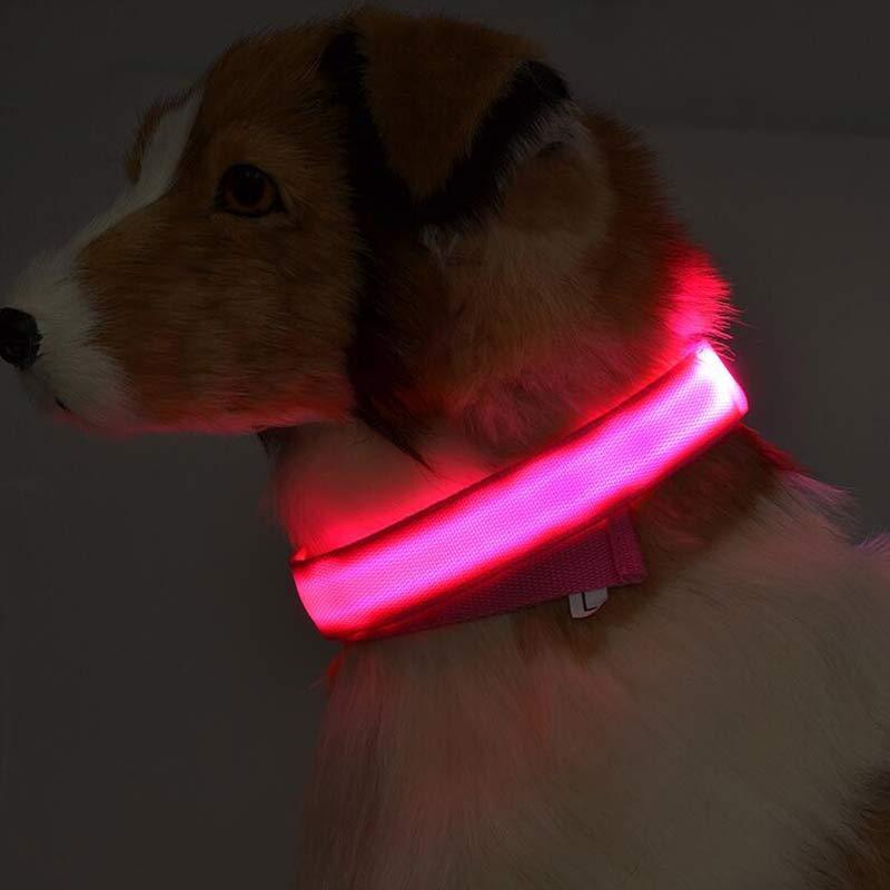 GlowPaw Overview 1. In order to prevent the light from flickering when pressed during delivery, we made a small plastic film to stop the switch. When you receive the collar, just remove this film and the light will work. introduce: 2. Nylon LED lighting d
