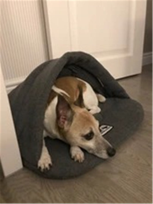 CleanNest™ – Removable & Washable Pet Kennel Give your furry friend the perfect combination of comfort, cleanliness, and convenience with the CleanNest™ Removable & Washable Pet Kennel. ️ Ultra-Comfortable Design: Soft, padded interior provides a cozy ret