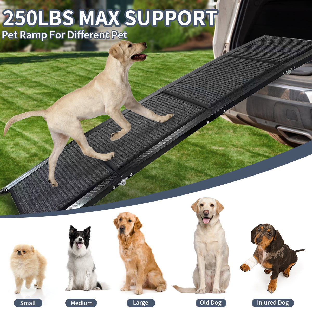 PackPaw Dog Steps Help your pup climb up safely with these sturdy dog steps. Perfect for beds, sofas, and cars. Pet Steps & Ramps