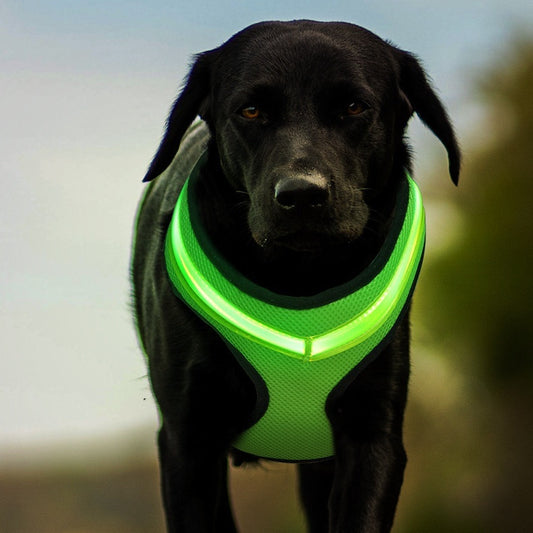 GlowGuard LED Harness Overview: 1. Charging, USB data cable can be directly charged, lasting, long standby. Don't worry about the battery without electricity, frequent buying batteries. 2. There are many styles, multiple colors for you to choose, fashion