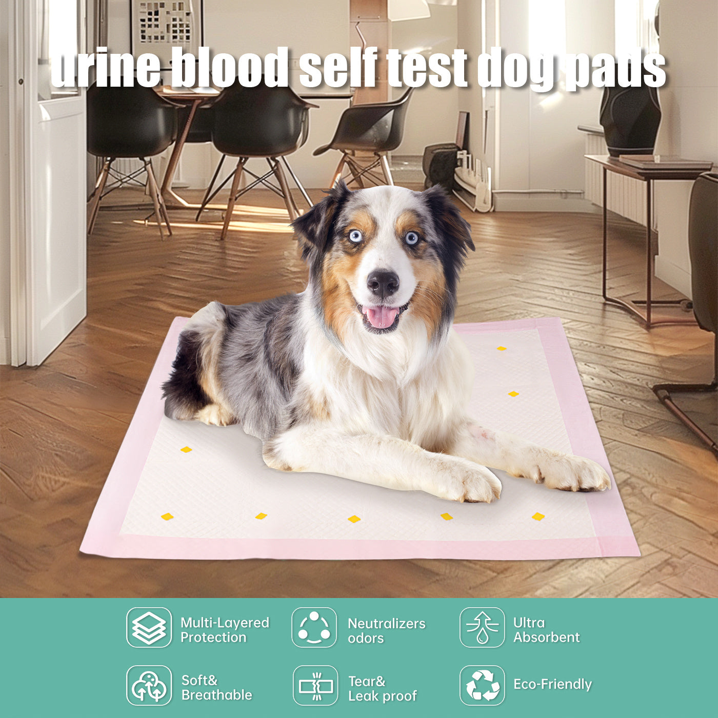 PeeSense Dog Pad Packaging list: Urine pad x10pc (1Box) Dog Diaper Pads & Liners