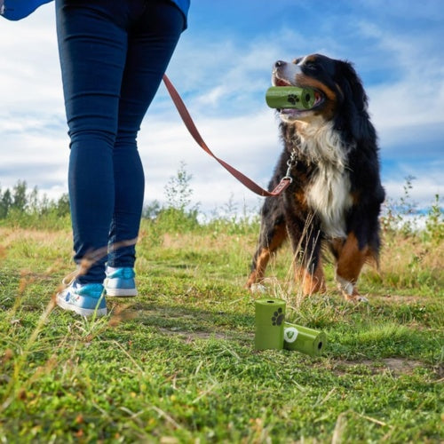 GreenPaws Poo Bags Why Pet Owners Love These Bags: ✅ XL Size for All Breeds Each bag measures 11.8 × 8.66 inches — large enough to handle waste from big dogs like Golden Retrievers, Labradors, or German Shepherds. They’re also long enough for a clean, eas