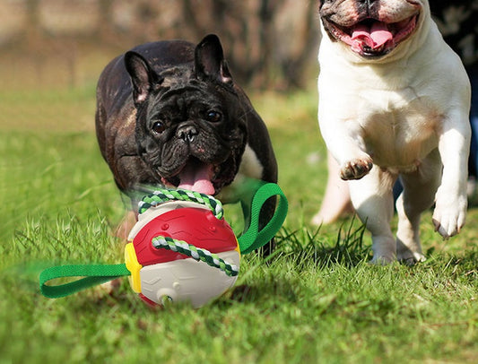 PawKick™ 2-in-1 Frisbee Ball Dog Toy – Bounce, Chew, Tug, and Play Anywhere! Take fetch and tug-of-war to the next level with this super creative transforming Frisbee Ball! Whether it’s flying high through the air or bouncing back into a sphere mid-flight
