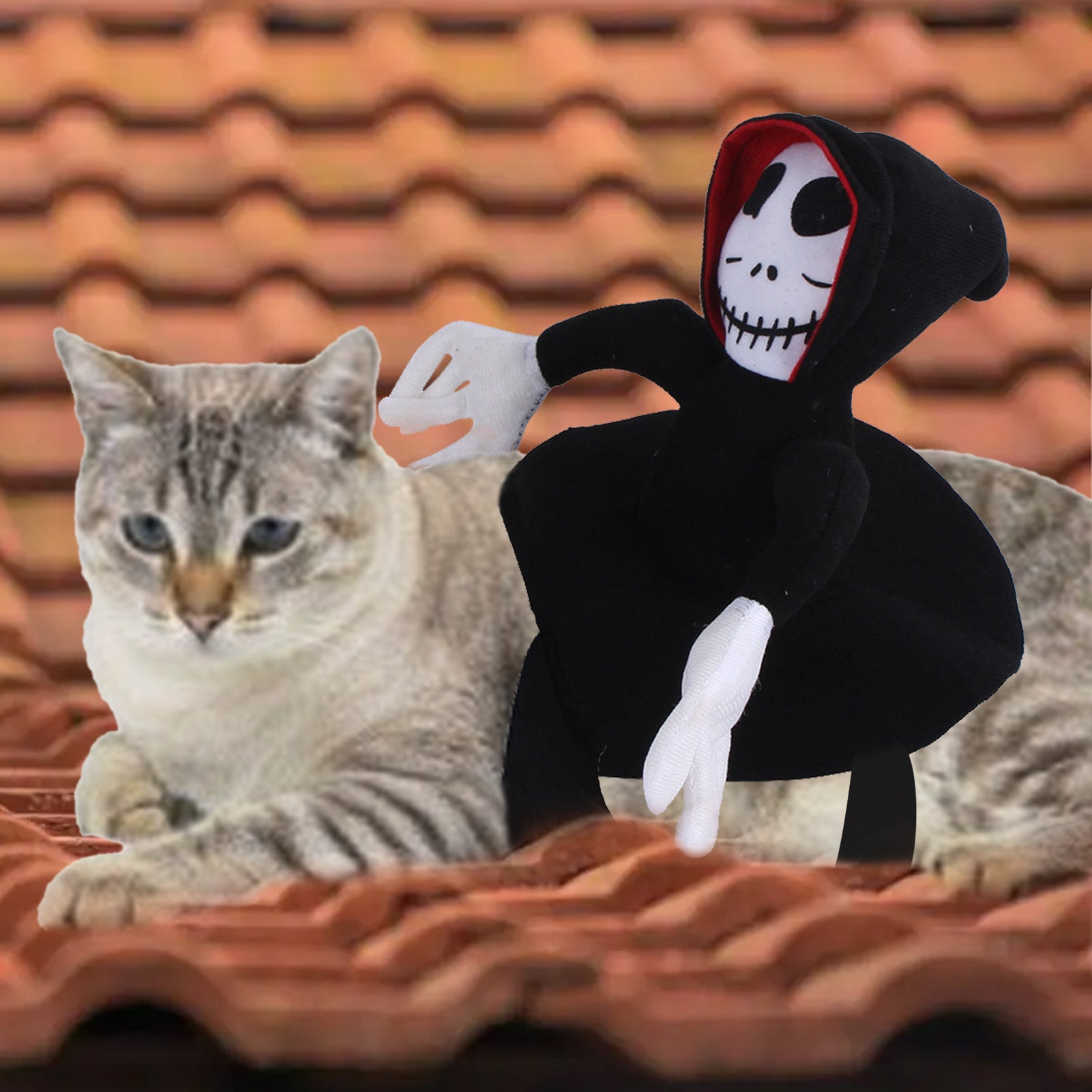 SpookyPaws™ Halloween Vest Overview: Unique and vivid design: The super realistic Horror mask is an excellent Halloween cosplay accessory. When pets wear this costume, they become cool and look scary, but also fun. Let your pet join the party and be the s