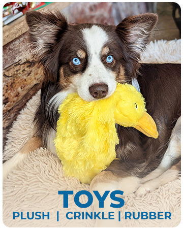 SoftQuack™ – Plush Duck for All Pup Sizes Premium Soft Chew Toys for Dogs - These adorable dog crinkle toys no stuffing ducks provide your four-legged best friend with an interactive chew toy that makes noise, keeps them engaged, and is gentler on teeth,