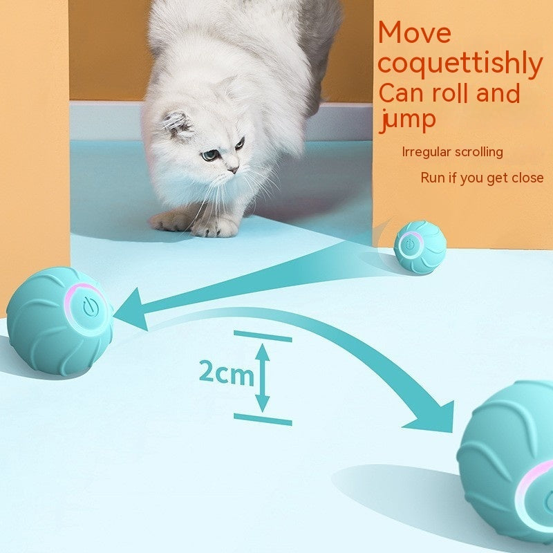BounceBuddy™ Overview: 1. 100% Brand new and high quality. 2. Environmentally friendly and resistant to falling. 3. Automatic operation, let love pets put it down. Product Information: Color: blue, red, pink Material: Silicone Category: Pet Toys Packing L