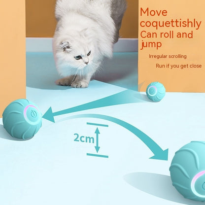 BounceBuddy™ Overview: 1. 100% Brand new and high quality. 2. Environmentally friendly and resistant to falling. 3. Automatic operation, let love pets put it down. Product Information: Color: blue, red, pink Material: Silicone Category: Pet Toys Packing L
