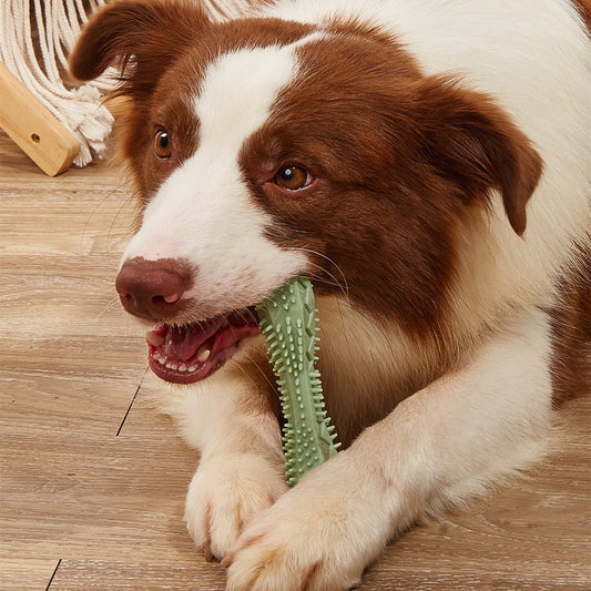 Dentabite™ – Chew Toy for Clean & Healthy Teeth Overview: 1、High-quality Materials: Using TPR material, safe and innocuous. The tough rubber has enough bite resistance, good elasticity, and is not easy to damage the dog's teeth. 2、Teeth Cleaning: The serr