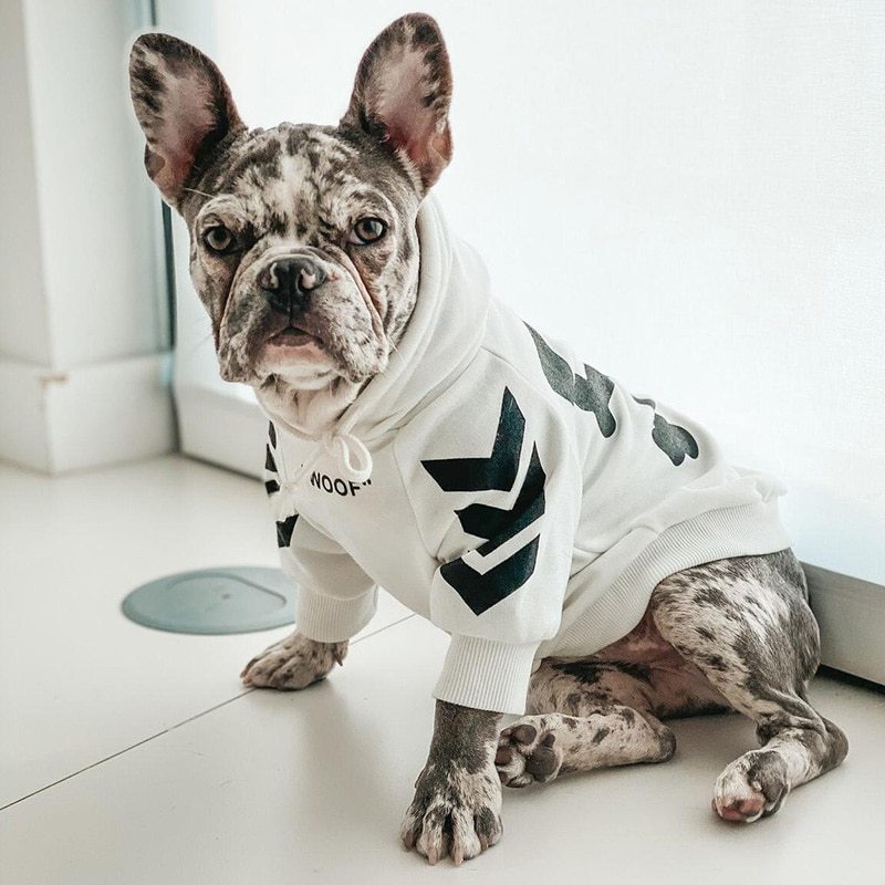 Winter Dog Jacket with Hood – Warm & Cozy Coat Pet clothes style: casual 1. Asian sizes are 1 to 2 sizes smaller than European and American people. Choose the larger size if your size between two sizes. Please allow 2-3cm differences due to manual measure