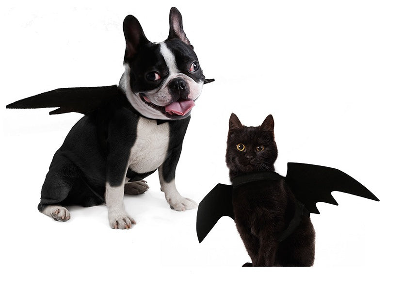 BatPup™ Winged Costume Product Features / Features: a cool dog accessory 1. The material uses black felt cloth, which is light in texture and wears no restraint. 2. The whole product is black, the lines are smooth and smooth, and the bat's mysterious cool