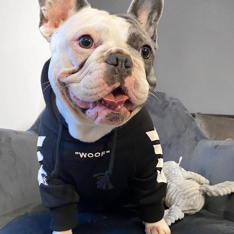 Winter Dog Jacket with Hood – Warm & Cozy Coat Pet clothes style: casual 1. Asian sizes are 1 to 2 sizes smaller than European and American people. Choose the larger size if your size between two sizes. Please allow 2-3cm differences due to manual measure