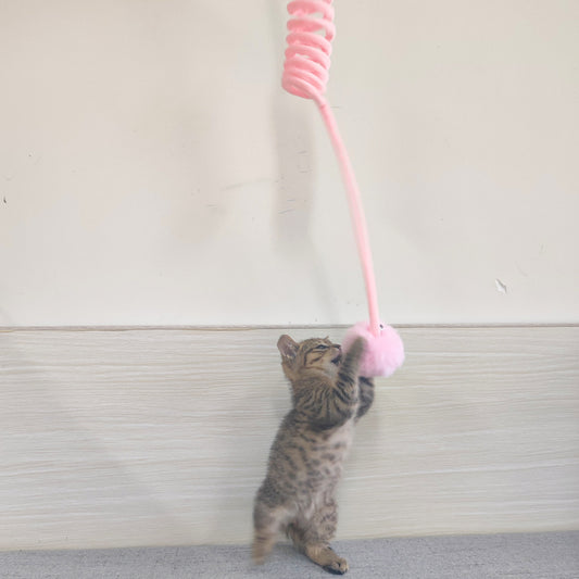 PawPop – Rabbit Fur Ball Toy for Playful Cats Overview: 1. Simply give this ball to your cat and you are good to go! 2. This cat toy stimulates your cat's instinct to hunt, and reduces obesity, boredom, and depression with increased exercise; 3. Soft and