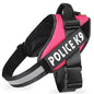 LumiPaw leash Applicable object: dog Material: Polyester Whether it is scalable: scalable Standard Leashes