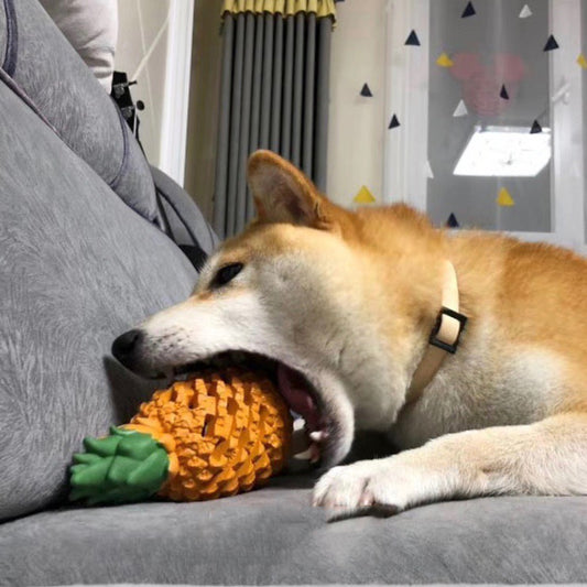 Fruit Chews™ – Funny Dog Toy for Clean Teeth Overview: Great for fun and entertainment Exercise the body of dog while playing, use as Christmas gifts The throwing toy can promote the relationship between dog and owners, play together This product can not