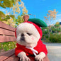 Winter Fleece Pet Hoodie – Adorable Fruit Design for Small Breeds Overview: 1. The material is soft and comfortable, enough to keep warm so that your pet looks more attractive and stylish! 2. Fruit design to make your puppy more cute, which will help redu