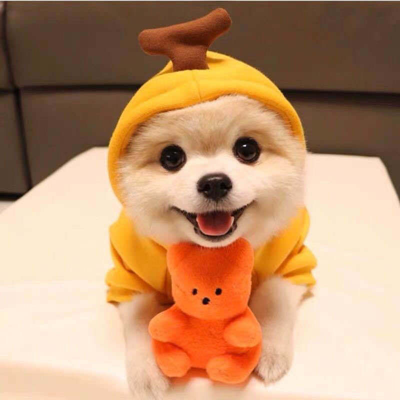 Winter Fleece Pet Hoodie – Adorable Fruit Design for Small Breeds Overview: 1. The material is soft and comfortable, enough to keep warm so that your pet looks more attractive and stylish! 2. Fruit design to make your puppy more cute, which will help redu