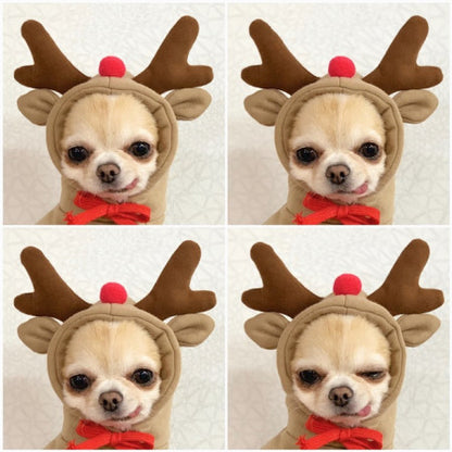 Winter Fleece Pet Hoodie – Adorable Fruit Design for Small Breeds Overview: 1. The material is soft and comfortable, enough to keep warm so that your pet looks more attractive and stylish! 2. Fruit design to make your puppy more cute, which will help redu