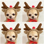 Winter Fleece Pet Hoodie – Adorable Fruit Design for Small Breeds Overview: 1. The material is soft and comfortable, enough to keep warm so that your pet looks more attractive and stylish! 2. Fruit design to make your puppy more cute, which will help redu