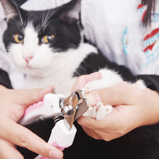 ClipMate Pet Nail Clippers Overview: 1. One-step cut: Pet nail clippers made of high-quality stainless steel sharp blades are strong enough to clamp the pet's nails quickly and cleanly with only one cut. The half-moon design is more suitable for pet nail