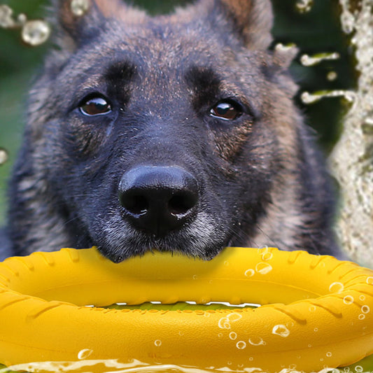 Tough Pull Ring – Interactive Training Toy for Dogs Overview Light material can float water. Convenient training and diverse gameplay This toy dog ring is environmental and non-toxic, It is gentle on a dog's mouth and owner's hand dog. It is super strong