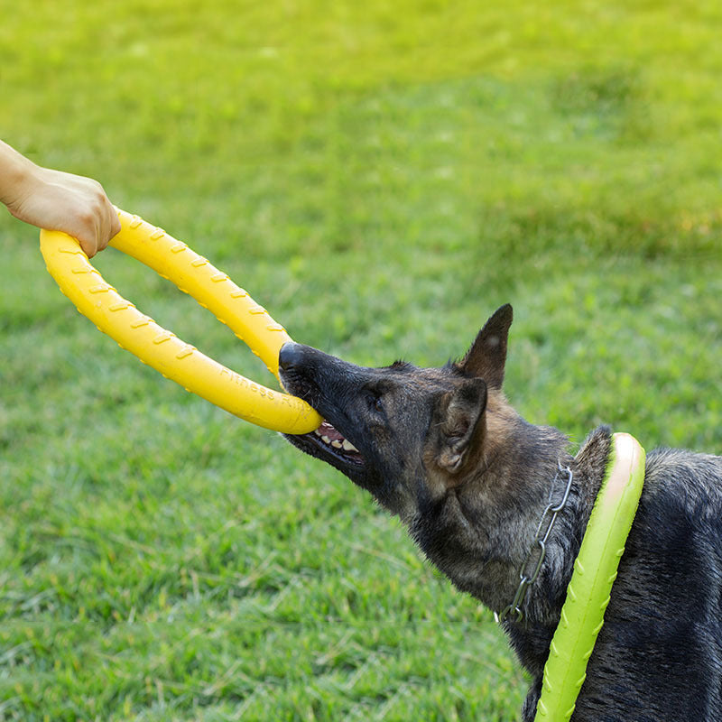 Tough Pull Ring – Interactive Training Toy for Dogs Overview Light material can float water. Convenient training and diverse gameplay This toy dog ring is environmental and non-toxic, It is gentle on a dog's mouth and owner's hand dog. It is super strong