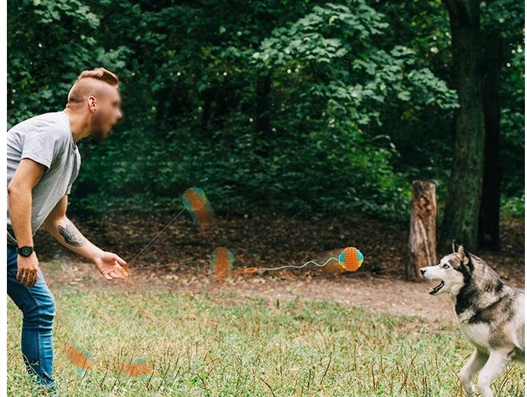 TugToss™ Overview 1. This is a pet toy that interacts with the main pet and integrates multiple functions such as automatic telescopic hand throwing ball, pet yo-yo, molar ball and so on. This toy can bring more fun to the dog. 2. The hand throwing ball h