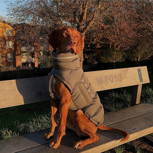 CozyCore™ Cotton Dog Coat Product information: Color: Dark gray, pink For: dogs Material: 100% recycled polyester Size Information: Size: S/M/L/XL Packing list: 1* Waistcoat Product Image: Pet Coats