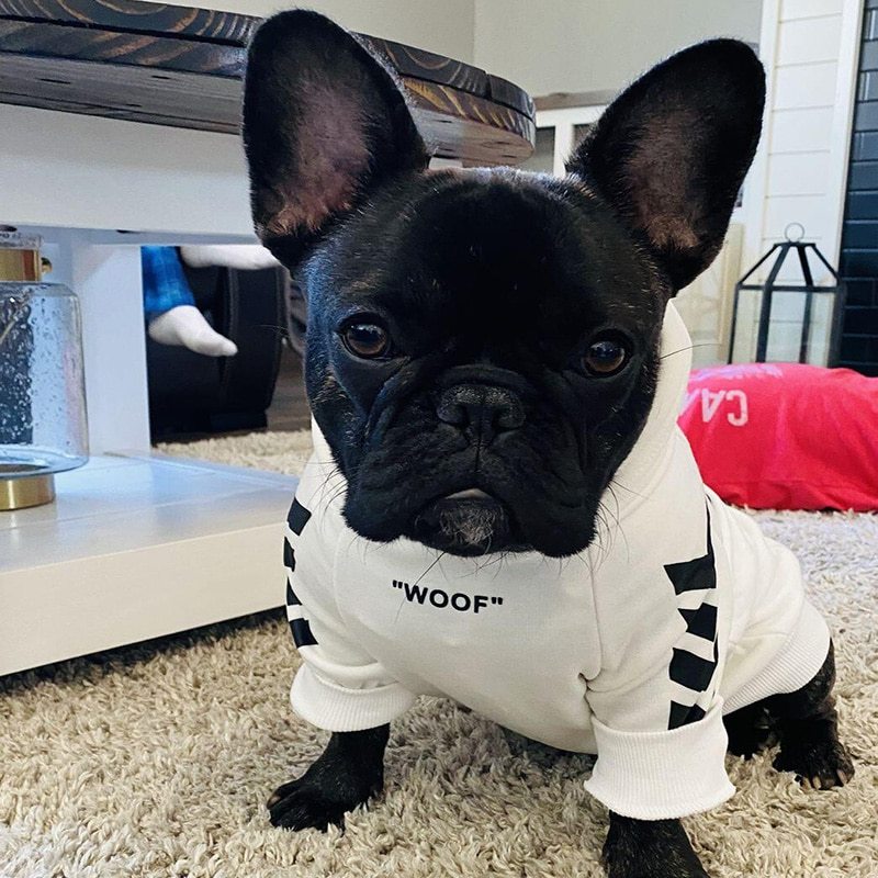 Winter Dog Jacket with Hood – Warm & Cozy Coat Pet clothes style: casual 1. Asian sizes are 1 to 2 sizes smaller than European and American people. Choose the larger size if your size between two sizes. Please allow 2-3cm differences due to manual measure