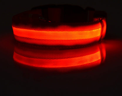 GlowPaw Overview 1. In order to prevent the light from flickering when pressed during delivery, we made a small plastic film to stop the switch. When you receive the collar, just remove this film and the light will work. introduce: 2. Nylon LED lighting d