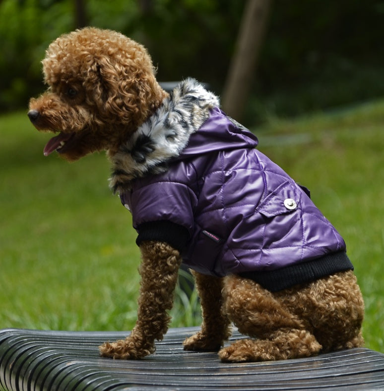 CozyRegal Fur Collar Dogwear Product Description: Item type: Pet clothing Material: Polyester spun, cotton, fleece Target audience: Dogs Size: Medium Season:Autumn, Winter Size： Size (XS, back, neck, chest): 5.91 / 15cm, 8.00 / 21cm, 11.00 / 29cm Size (S,