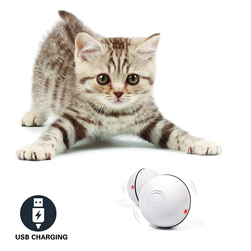 GlowChase Describe: 1. Two color mode design, unique red light mode and colorful light change mode, attract your kitten at any time. This cat toy has bells and feathers, which can stimulate the cat's hunting instinct. 2. Built-in cat's favorite catnip: Th