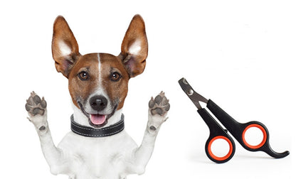 ClipPaws Safety Nail Scissors Overview: Brand new, high quality, low price! Sharp blade specially designed for pets Plastic handle, easy to grasp Product information: Material: durable stainless steel blade, plastic handle Size: 12cm*6cm Weight: 36.00g Pa