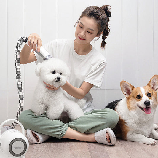 FurTrim™ 2-in-1 Groomer Product information: Applicable object: Dog Specifications: Australian standard (neakasa/neabot random) 230V, British Standard (neakasa/neabot random) 220V, American Standard (neakasa/neabot random) 120V, European standard (neakasa