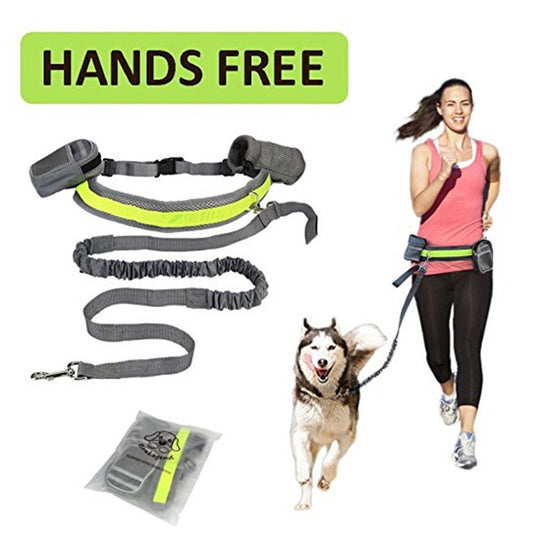 GoPaws [product name]: dog running traction set four-piece [product color]: gray black green red [product material]: nylon [product specifications]: length 144cm, waist circumference: 78-110cm [Product Description]: This is a retractable and adjustable sp