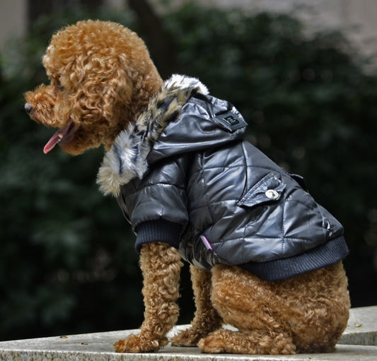 CozyRegal Fur Collar Dogwear Product Description: Item type: Pet clothing Material: Polyester spun, cotton, fleece Target audience: Dogs Size: Medium Season:Autumn, Winter Size： Size (XS, back, neck, chest): 5.91 / 15cm, 8.00 / 21cm, 11.00 / 29cm Size (S,