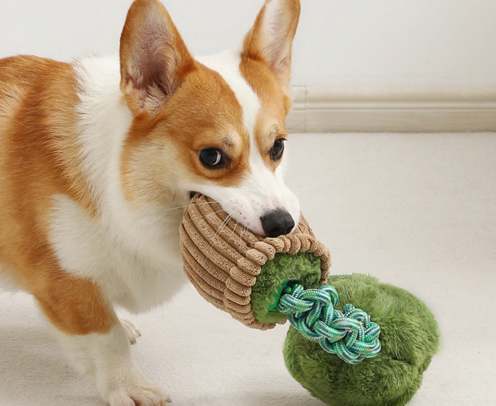 Bite-Resistant Rope Toy – Strong & Fun Dog Teether Product information: Color: [mushroom bend and hitches | Yellow coffee],[broccoli bend and hitches | Green coffee]] Material: Polyester Category: Pet Toys West Blue Flower Knot Toy: 30 * 13cm Mushroom kno