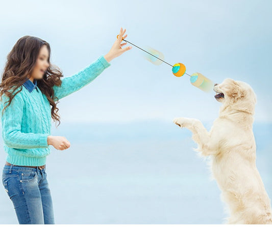 TugToss™ Overview 1. This is a pet toy that interacts with the main pet and integrates multiple functions such as automatic telescopic hand throwing ball, pet yo-yo, molar ball and so on. This toy can bring more fun to the dog. 2. The hand throwing ball h