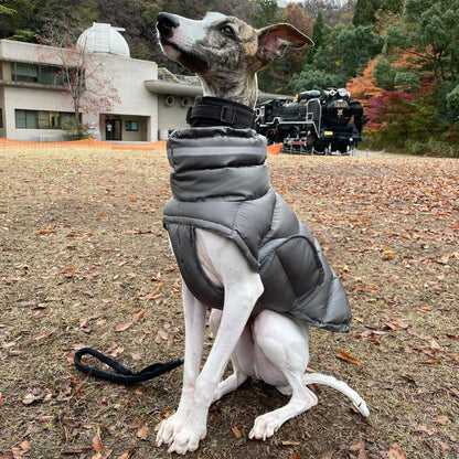 CozyCore™ Cotton Dog Coat Product information: Color: Dark gray, pink For: dogs Material: 100% recycled polyester Size Information: Size: S/M/L/XL Packing list: 1* Waistcoat Product Image: Pet Coats