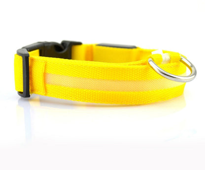 GlowPaw Overview 1. In order to prevent the light from flickering when pressed during delivery, we made a small plastic film to stop the switch. When you receive the collar, just remove this film and the light will work. introduce: 2. Nylon LED lighting d