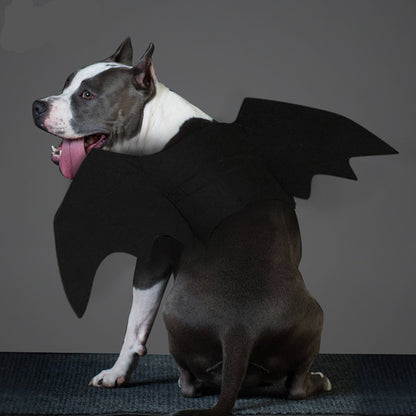 BatPup™ Winged Costume Product Features / Features: a cool dog accessory 1. The material uses black felt cloth, which is light in texture and wears no restraint. 2. The whole product is black, the lines are smooth and smooth, and the bat's mysterious cool