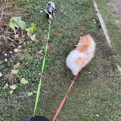 PawPair Overview: Made of high-quality plastic and nylon material, won't be destroyed by your dogs. The traction rope is automatic retractable, really convenient and stored easily. One-to-two automatic telescopic traction rope, easy to walk two dogs. With