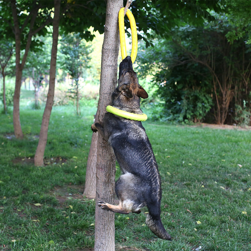 Tough Pull Ring – Interactive Training Toy for Dogs Overview Light material can float water. Convenient training and diverse gameplay This toy dog ring is environmental and non-toxic, It is gentle on a dog's mouth and owner's hand dog. It is super strong