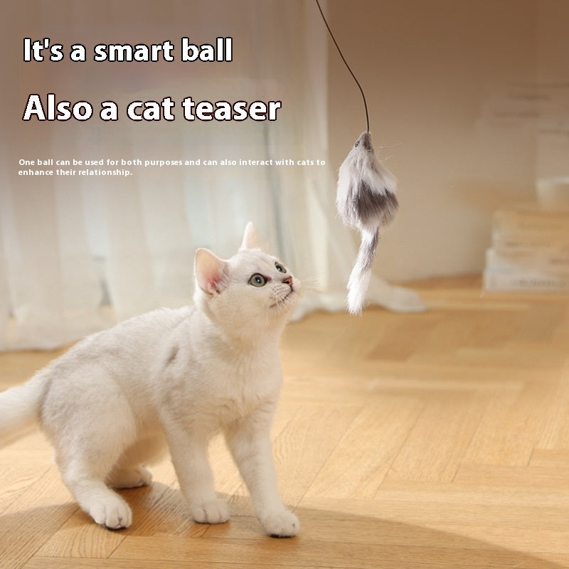 ChaseMate Overview: [Durable And Safe] - Made of ABS and plush materials to ensure pet health and safety. [Mouse Design] - Comes with a plush mouse to stimulate the cat's hunting nature, improving curiosity and increasing interaction. [Stress Reduction] -