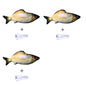 Simulated Flopping Fish – Fun Electric Toy for Cats (Catnip-Free) Overview: 1. With high quality material, this ornament is durable and not easy to damage. 2. This toy does not contain toxic and harmful things and materials, and it is healthy and safe for