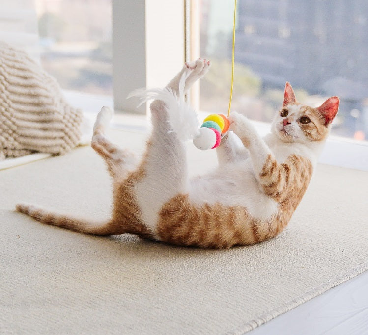 HangMouse™ Product information: Product name: Swing cat toy Specifications: about 2 meters in length Product material: feather, elastic rope, polyester ball, sticky hook, etc. Packing list: Funny cat stick*1 Cat Toys