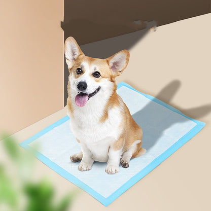 DryPaw Dog Product information: [Portrait]: Super absorbent core that turns liquid into gel on contact Waterproof with plastic liner to prevent damage to floors Quick-drying surface with integrated attractant Great for training puppies, helping senior dog