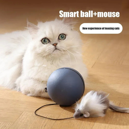 ChaseMate Overview: [Durable And Safe] - Made of ABS and plush materials to ensure pet health and safety. [Mouse Design] - Comes with a plush mouse to stimulate the cat's hunting nature, improving curiosity and increasing interaction. [Stress Reduction] -
